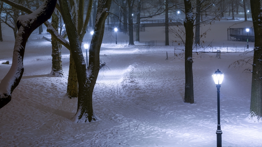 Snowed Central Park in New York USA