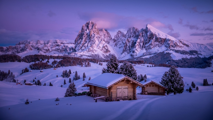 Snowed Village and Field