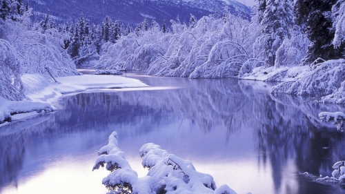 Snowy Lake and Forest