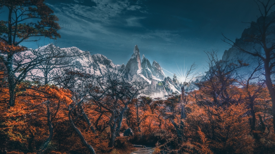 Snowy Mountains and Autumn Forest