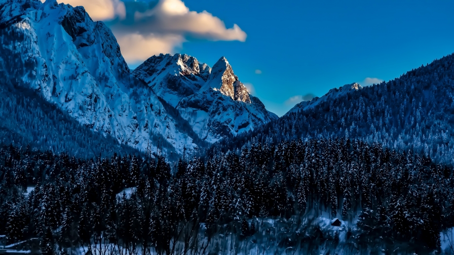 Snowy Mountains and Beautiful Forest