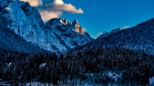 Snowy Mountains and Beautiful Forest