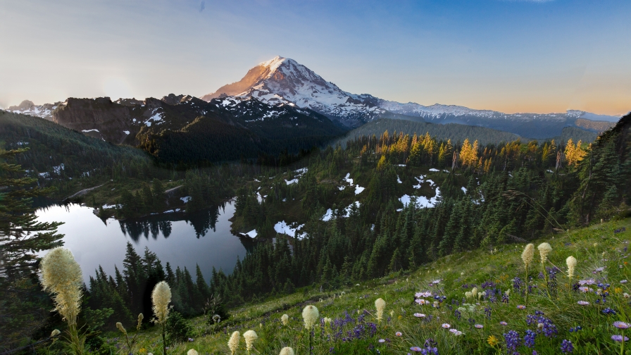 Snowy Mountains and Field