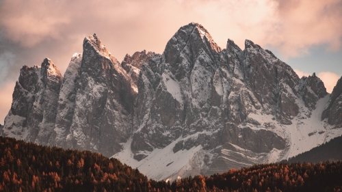 Snowy Mountains and Forest