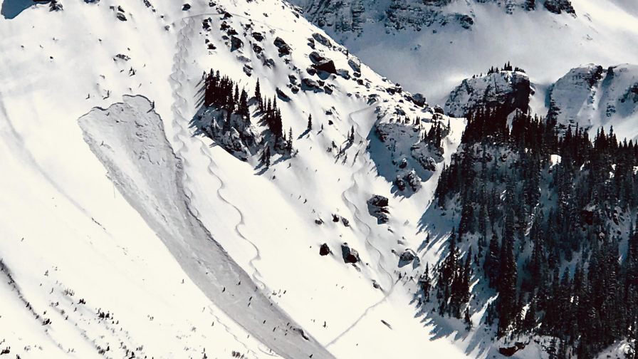 Snowy Slope and Forest