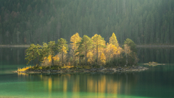 Island Lake and Trees