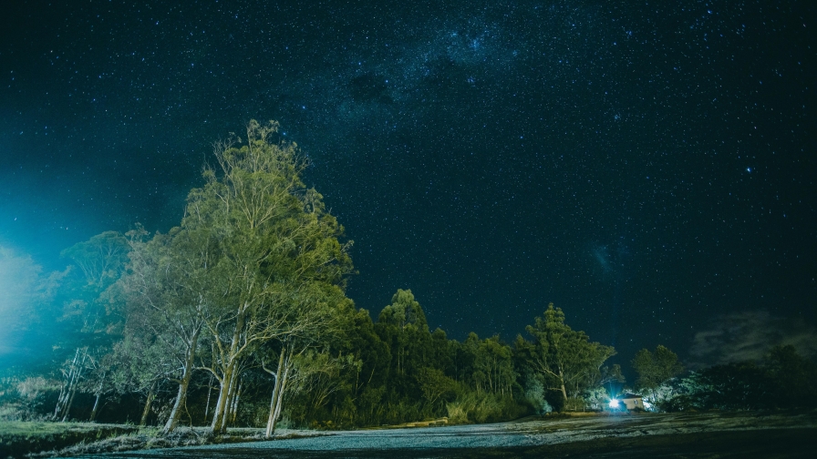 Starry Night Sky and Old Green Forest with House