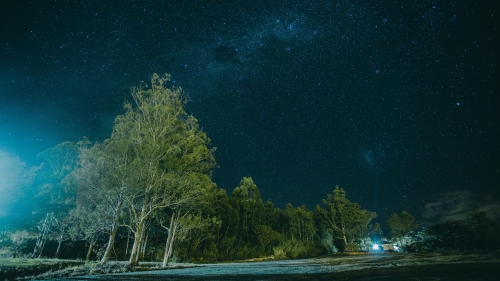 Starry Night Sky and Old Green Forest with House