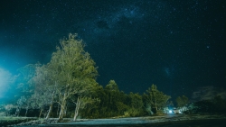 Starry Night Sky and Old Green Forest with House
