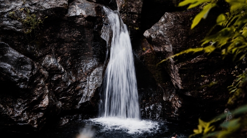 Stream Small Waterfall Nature