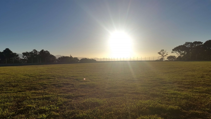 Sunlight on the Field