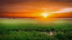 Sunrise and Green Grass on Meadow