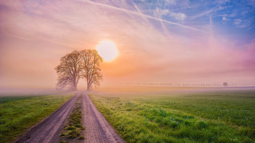Sunrise in Field and Road
