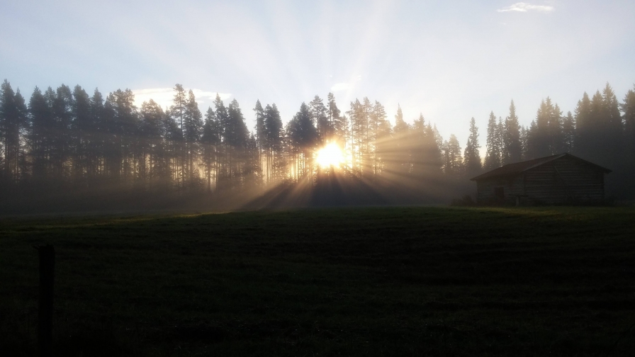 Sunrise in Sweden Forest and Single House in Field