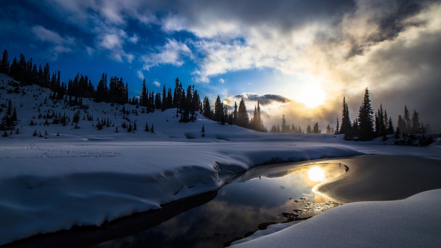 Sunset and River in Green Pine Forest