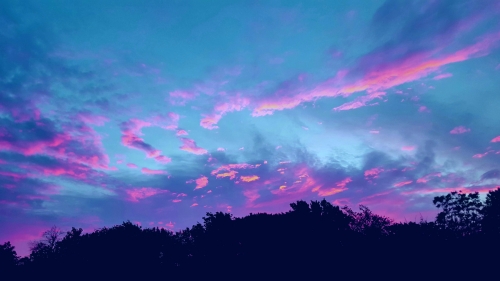 Texan Purple Sunrise