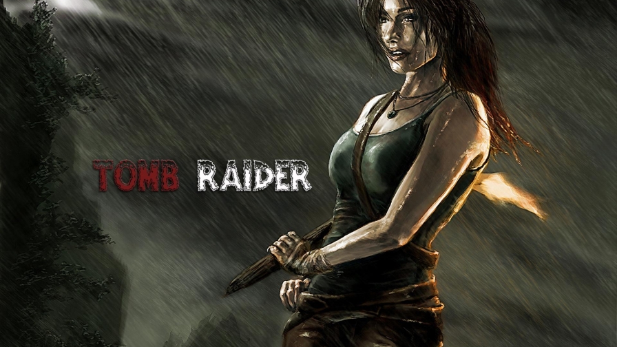 Tomb Raider Video Game