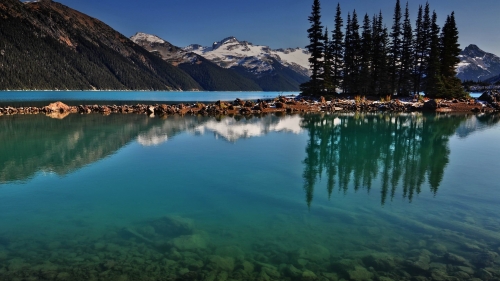 Trees in Reflection and Mountains