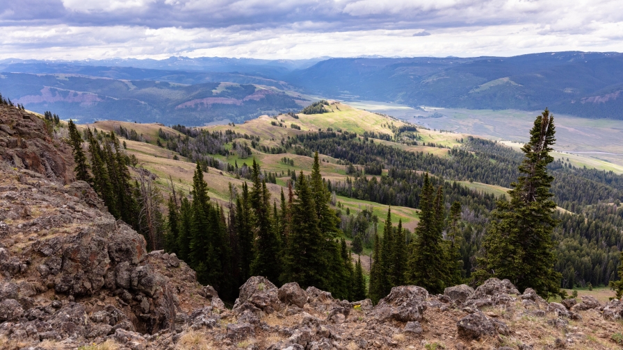 Trees on Hill and Beautiful Valley