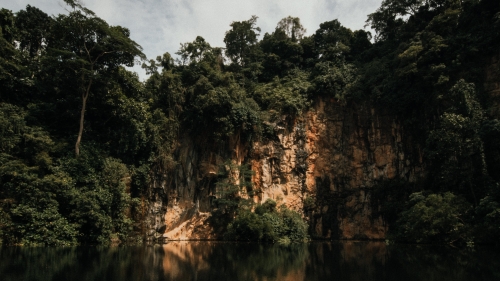 Trees On Rock Cliff Under Cloudy Sky