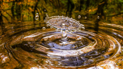 Water Drop in Autumn Lake