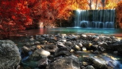 Waterfalls Between Red Blossom Trees in the Forest During Daytime