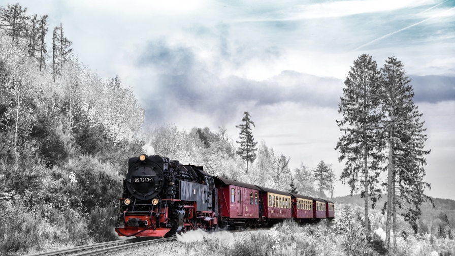 Winter Forest and Old Retro Train