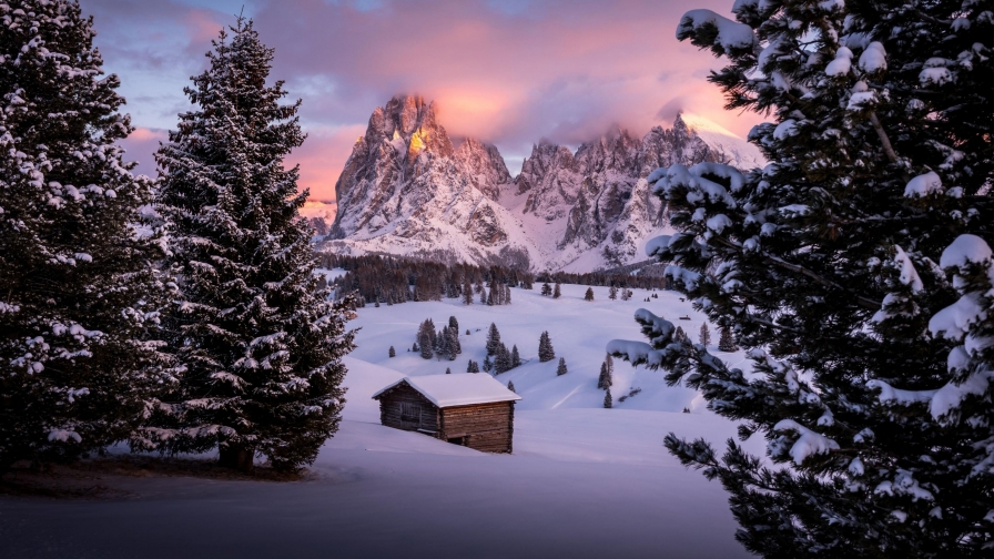 Winter Forest and Single House