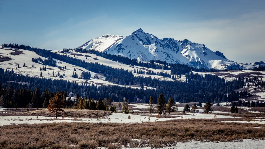 Winter in Mountain Valley and Beautiful Trees