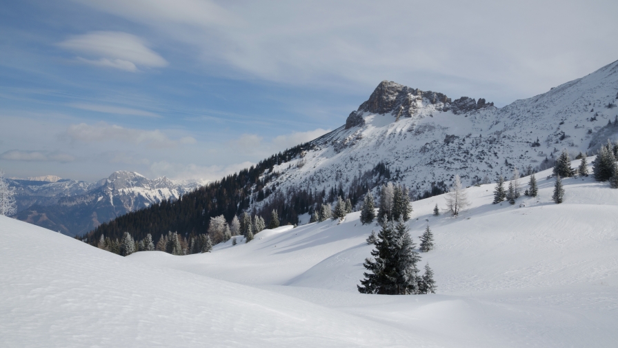 Winter in Mountains and Forest