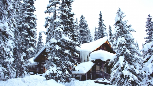 Winter Snow Covered Trees and House