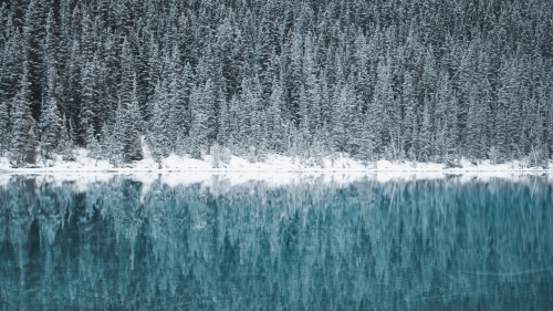 Winter Snowed Forest and Pure Mirror on Lake