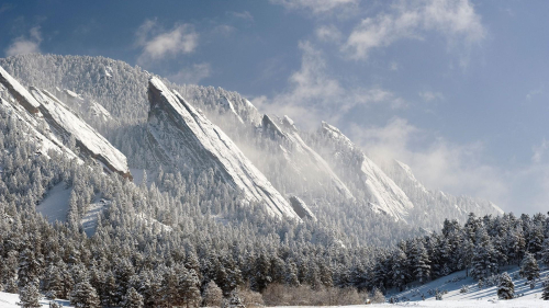 Winter Snowy Forest and Mountains