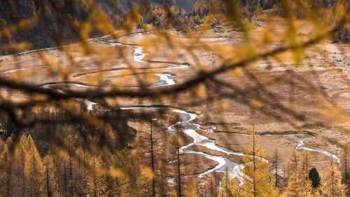 Wonderful Amazing Autumn Forest in Mountain Valley