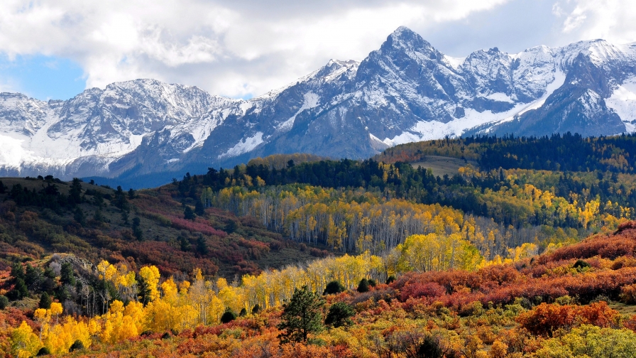 Wonderful Autumn Forest and Mountains