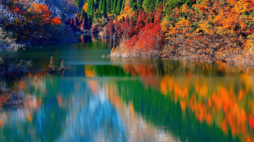 Wonderful Autumn Forest and River