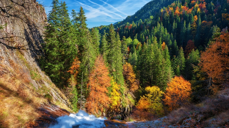 Wonderful Autumn Forest in Mountain Valley