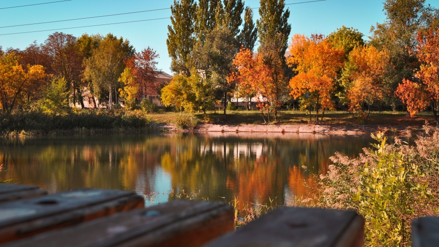 Wonderful Autumn Lake and Park