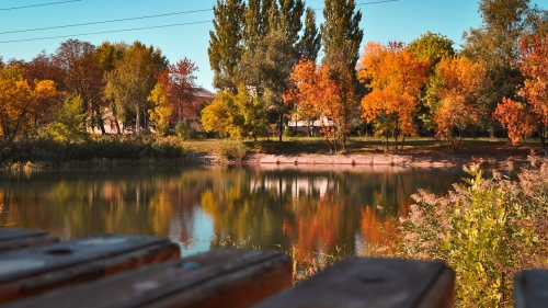 Wonderful Autumn Lake and Park