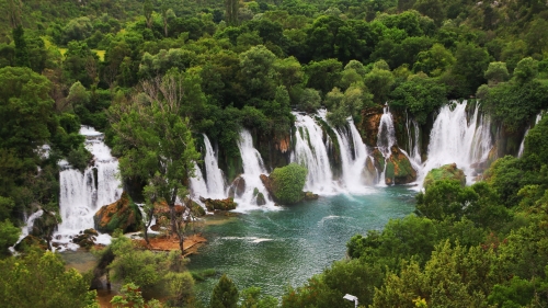 Wonderful Green Forest and Waterfall