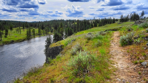 Wonderful green valley river and forest