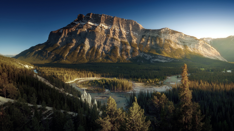 Wonderful Mountain and Pine Forest during Daytime