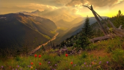 Wonderful Mountain Valley Green Grass and Sunset