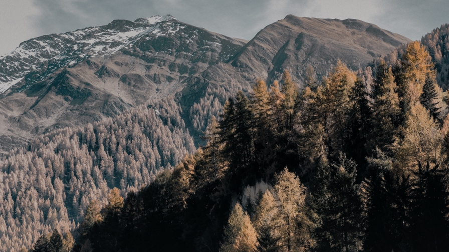 Wonderful Mountains and Forest