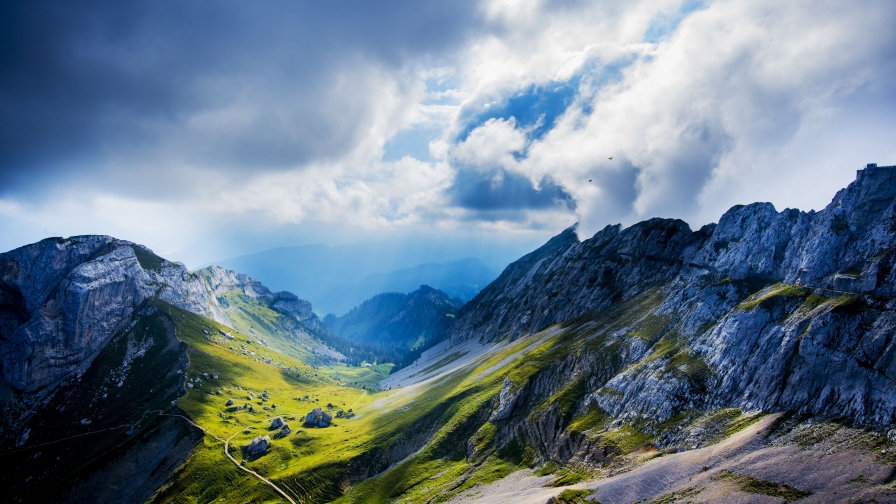 Wonderful Mountains and Green Forest