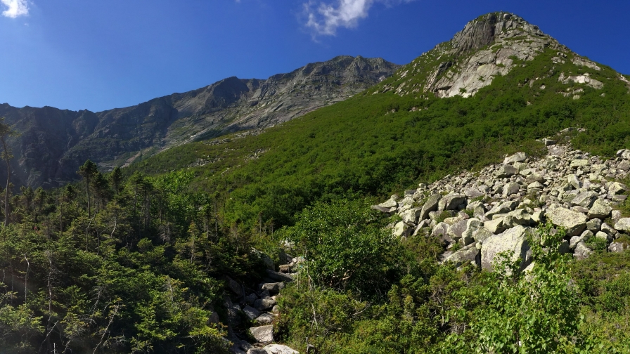 Wonderful mountains Green Forest and Stones