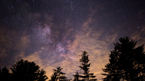 Wonderful Night Sky in Forest