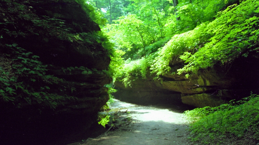 Wonderful Old Green Valley and Sunlight