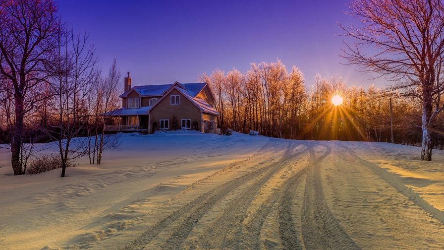 Wonderful Orange Sunset in Winter Forest