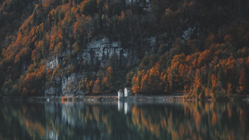 Wonderful Pure Lake and Old Forest